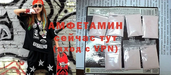 шишки Покачи