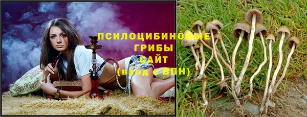 а пвп мука Пересвет