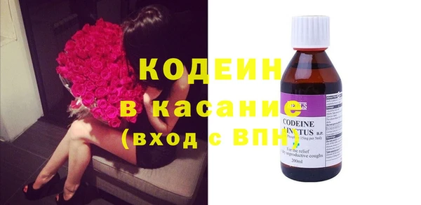 шишки Покачи