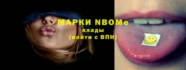 шишки Покачи