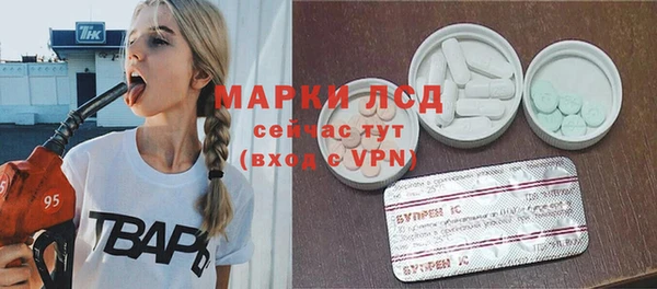 шишки Покачи