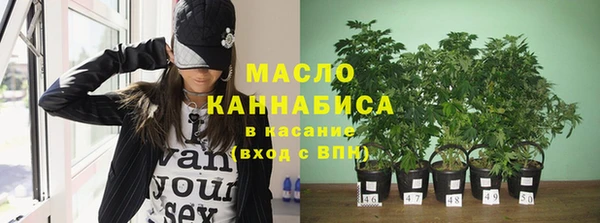шишки Покачи