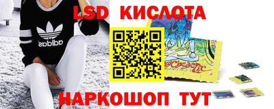 стафф Дубна