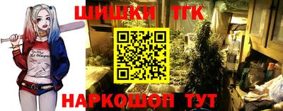 стафф Дубна