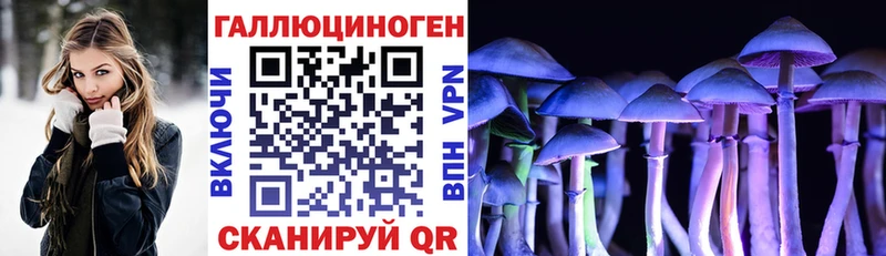 Галлюциногенные грибы Psilocybe  где найти   OMG зеркало  Красноармейск 