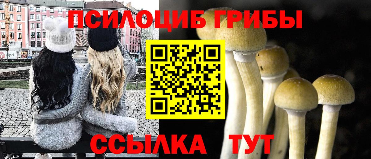 где найти наркотики  Красноармейск  Галлюциногенные грибы мицелий  Псилоцибиновые грибы прущие грибы 