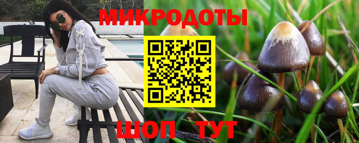 Галлюциногенные грибы GOLDEN TEACHER  Вход с VPN  Красноармейск 